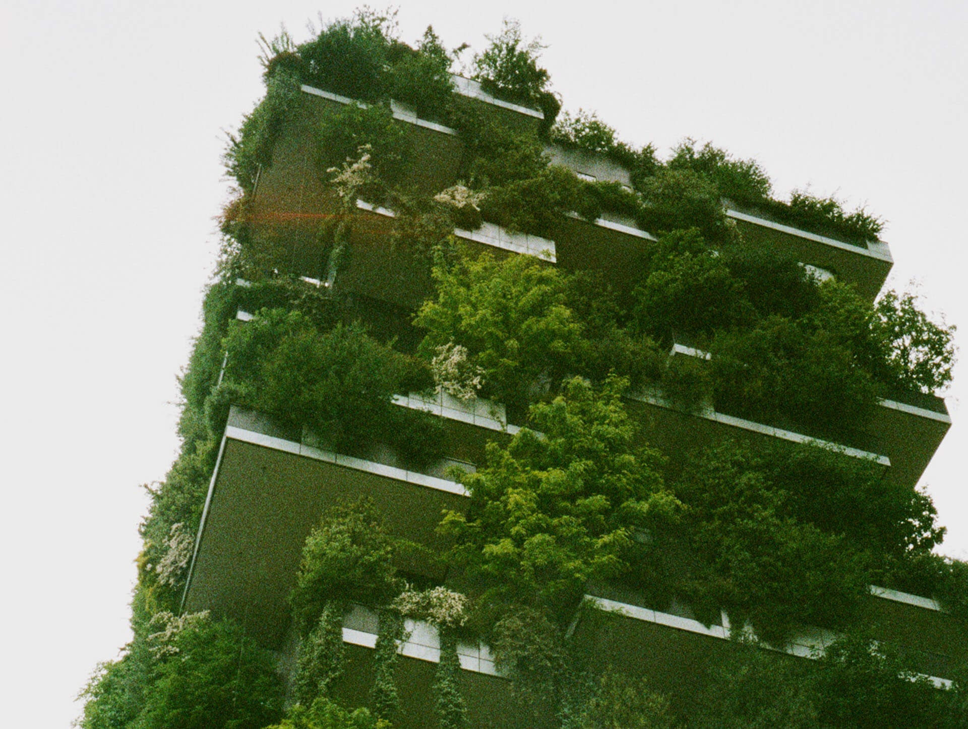 Read more about the article Nekmit’s green headquarters and distribution center