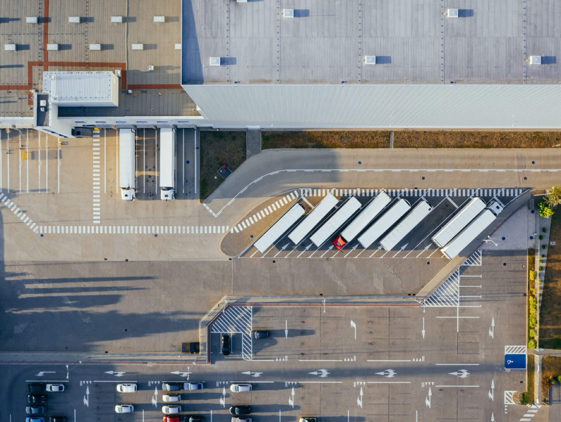 Read more about the article Sevit will build a new distribution center for Javaphile